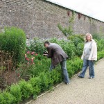Duckett's Grove Castle, Walled Gardens
