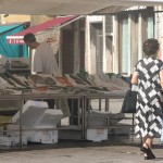 Po drodze na Lido di Venezia, targ rybny na Campo Santa Margherita