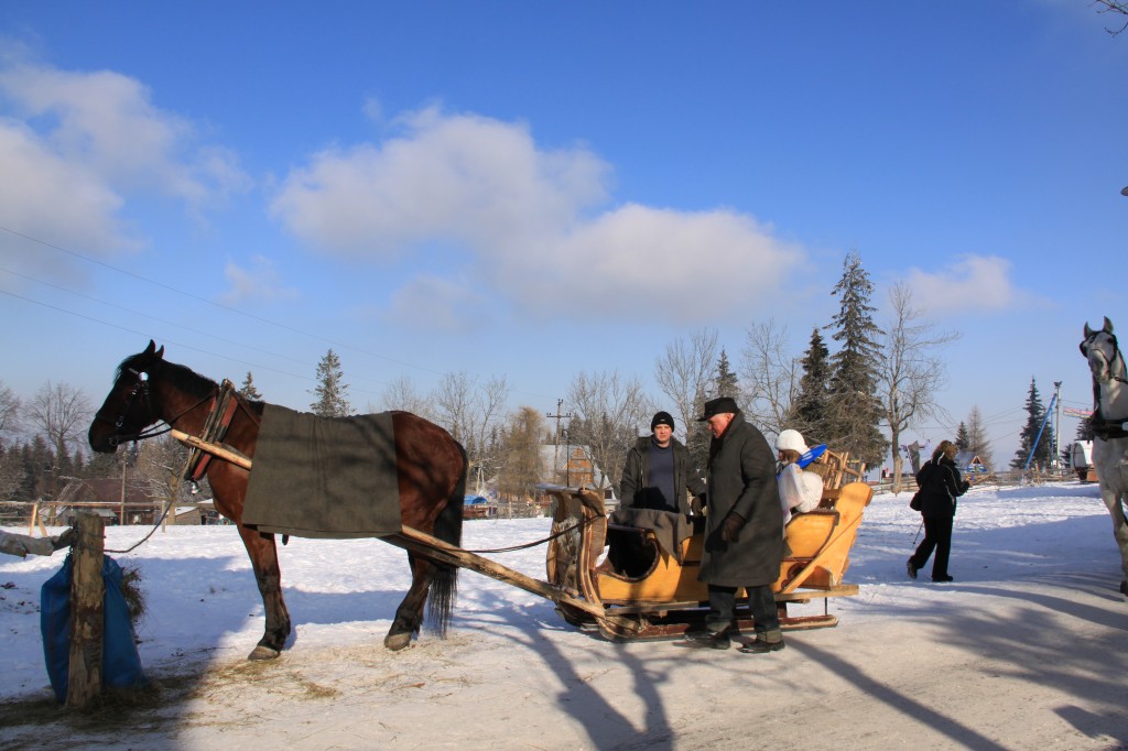 Nasz transport na szczycie Gubałówki