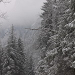 Droga na Morskie Oko