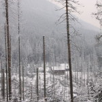 Droga na Morskie Oko