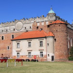 Zamek w Golubiu-Dobrzyniu