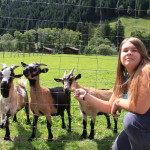 Mini-zoo przy bramkach wjazdowych na Hochalpenstrasse