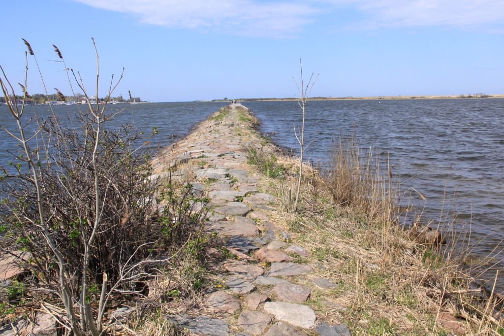 Rezerwat Ptasi Raj, XIX-wieczna grobla