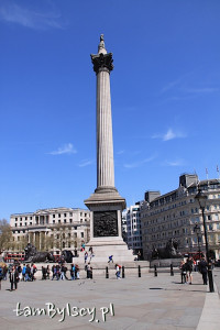 Londyn, Trafalgar Square, kolumna Nelsona