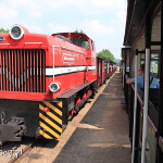 Kolej wąskotorowa Biskupin - Żnin przez Wenecję