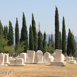 Radimlja, nekropolia Bogomiłów