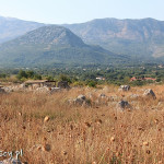 Svac, ruiny miasta