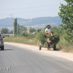 Droga ekspresowa SH1 za Durres