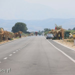 Albania, droga SH4 do Fier