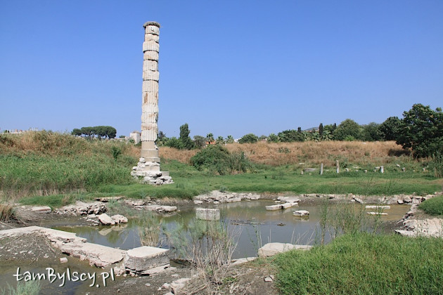 Selçuk, ruiny świątyni Artemidy