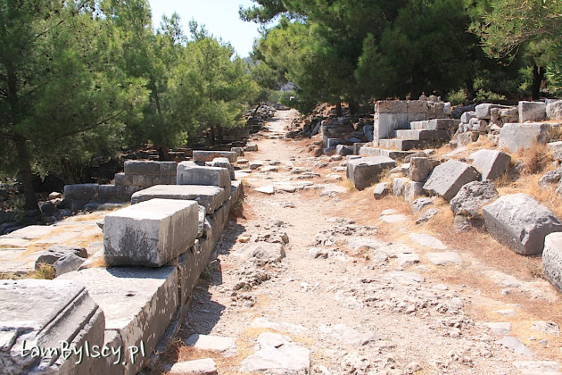 Ruiny Priene, ulice miasta