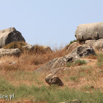Ruiny Patary, sarkofagi w nekropolis