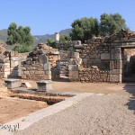 Nysa, ruiny miasta, bouleuterion