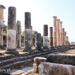 Nysa, ruiny miasta, agora