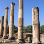Nysa, ruiny miasta, agora