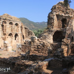 Nysa, ruiny miasta, biblioteka