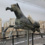 Afrodyzja, muzeum, marmurowy "niebieski koń"