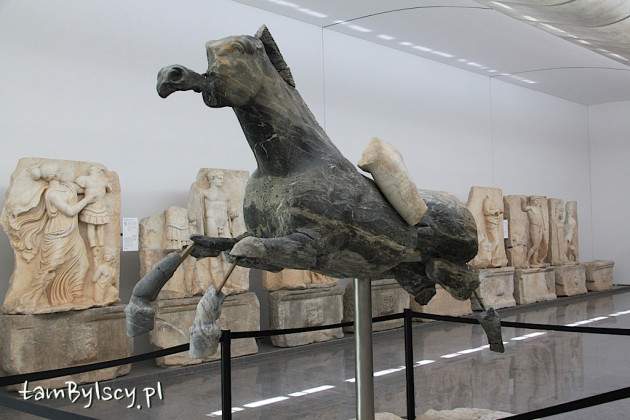 Afrodyzja, muzeum, marmurowy "niebieski koń"