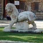 Afrodyzja, muzeum, eksponaty w ogrodzie
