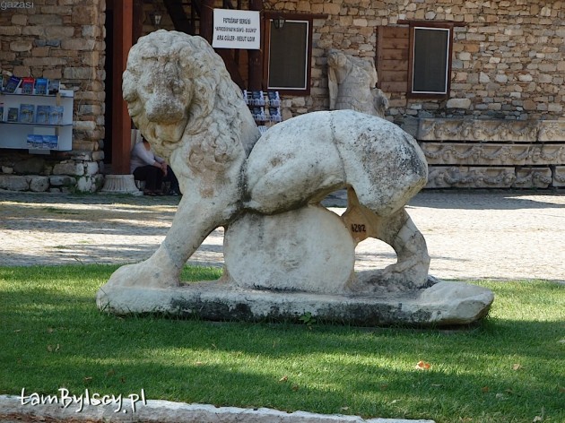 Afrodyzja, muzeum, eksponaty w ogrodzie