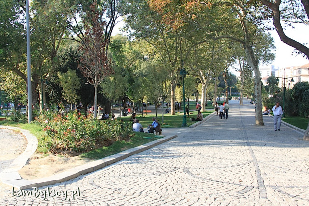 Stambuł, park Gezi obok placu Taksim