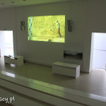 Lepenski Vir, stanowisko archeologiczne