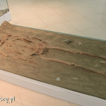 Lepenski Vir, stanowisko archeologiczne