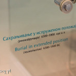 Lepenski Vir, stanowisko archeologiczne