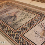 Gaziantep, Zeugma Mosaic Museum