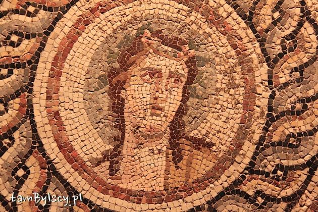 Gaziantep, Zeugma Mosaic Museum