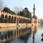 Sanliurfa, jezioro Balıklı Göl