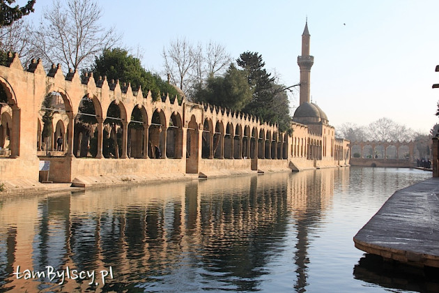 Sanliurfa, jezioro Balıklı Göl