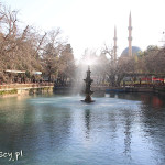 Sanliurfa, jezioro Aynzeliha Göl