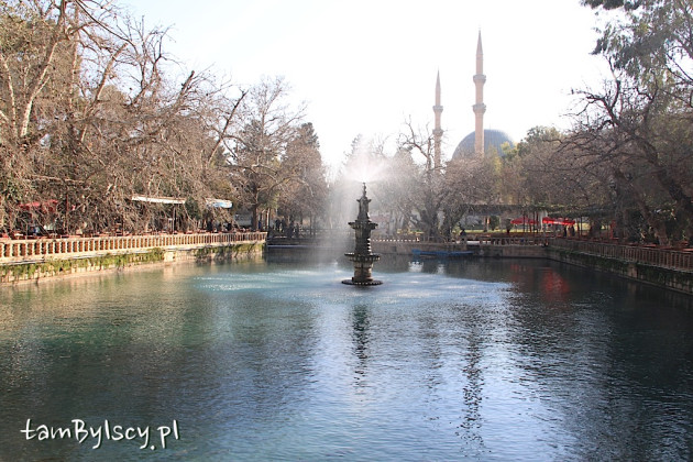 Sanliurfa, jezioro Aynzeliha Göl