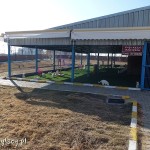 Van, rezerwat kotów, klatka z samicami