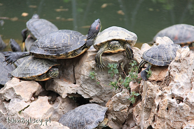 Ateny, Ogrody Narodowe