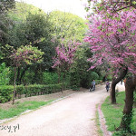 Ateny, Ogrody Narodowe