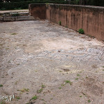 Ateny, rzymskie mozaiki w Ogrodach Narodowych