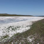 Wyschnięte jezioro tuż przed wsią Udabno