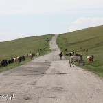 Droga w okolicach Udabna