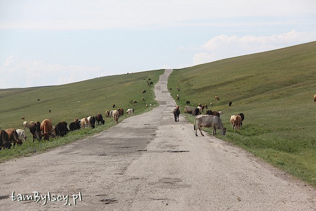 Droga w okolicach Udabna