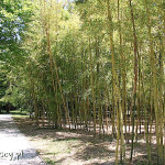 Tsinandali, rezydencja Chawczawadze