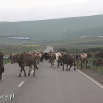 Droga Ninotsminda - Tbilisi