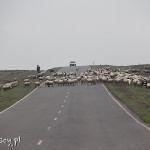 Droga Ninotsminda - Tbilisi