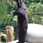 Rio de Janeiro, Ogród Zoologiczny