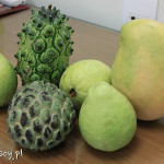 Egzotyczne zakupy owocowe: atemoya, fruta do conde, goiaba i mango