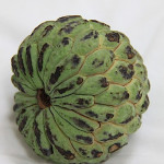 Owoc fruta do conde