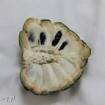 Owoc fruta do conde