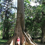 Rio de Janeiro, Ogród Botaniczny